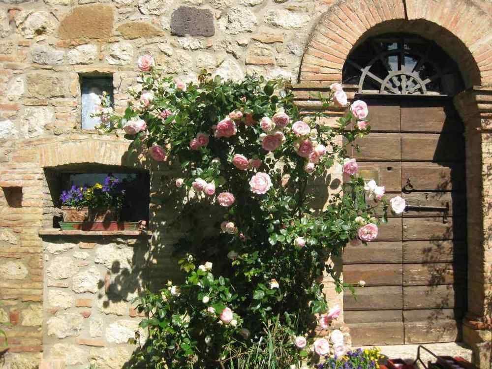Agriturismo Il Caio Cetona Exterior foto
